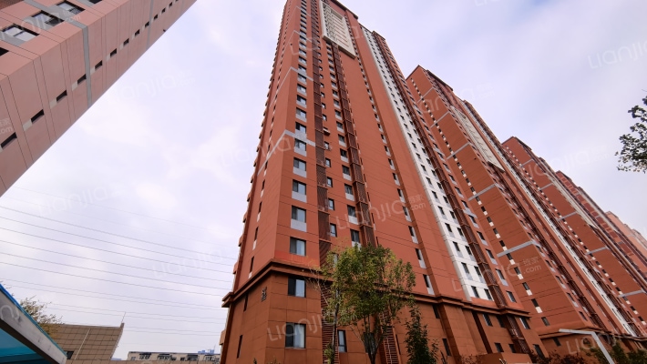 远洋心里外景图