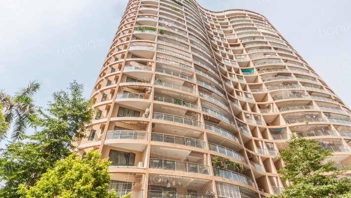 根竹园花园外景图