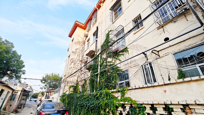 金山路19号市文化局宿舍外景图