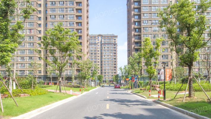 白龙花苑外景图