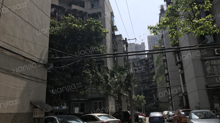 莲花新区北二巷8号外景图