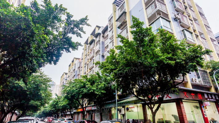 养鱼还建房外景图