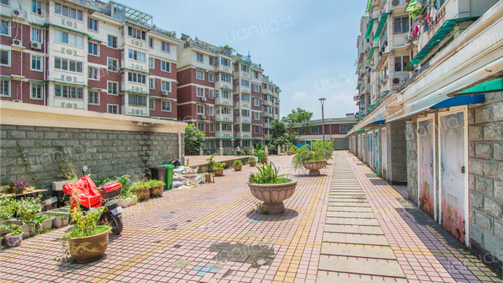 南都花城茶花园外景图