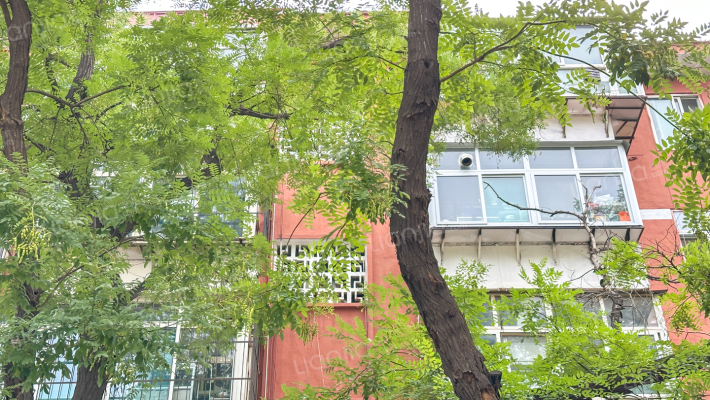 市商业局家属楼外景图