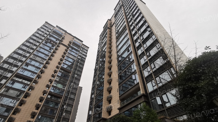 香木林宽景外景图