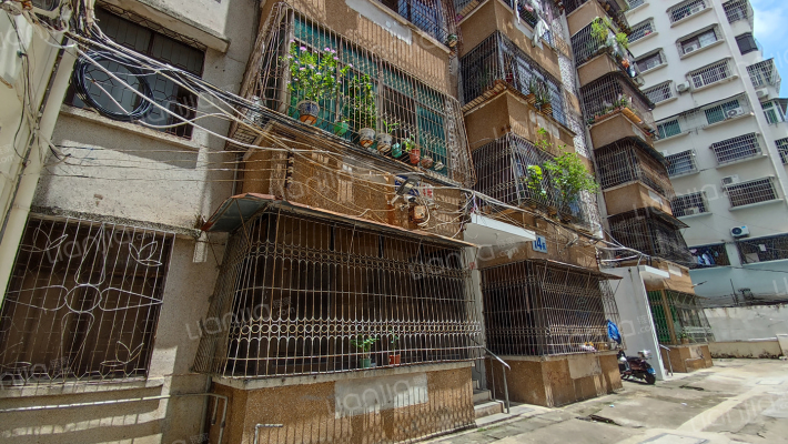 市文化局宿舍外景图