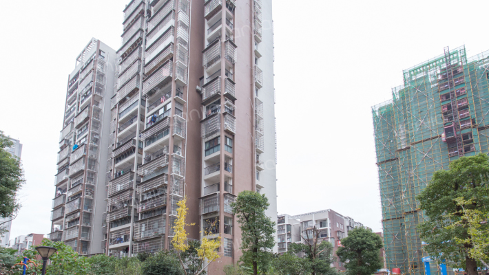 天凯东苑外景图