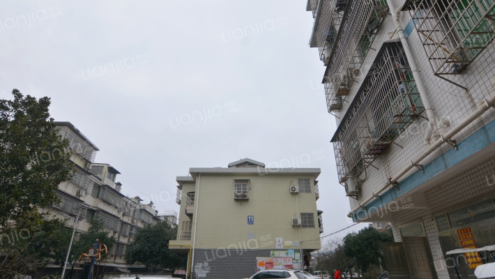 桃花锦绣安置小区外景图