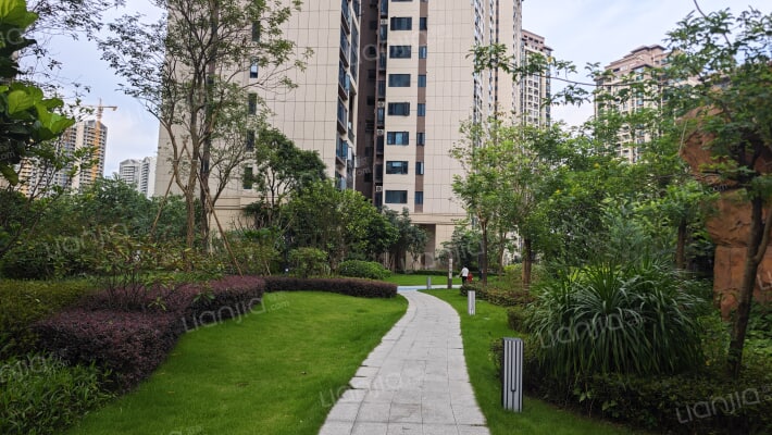 香江天赋外景图