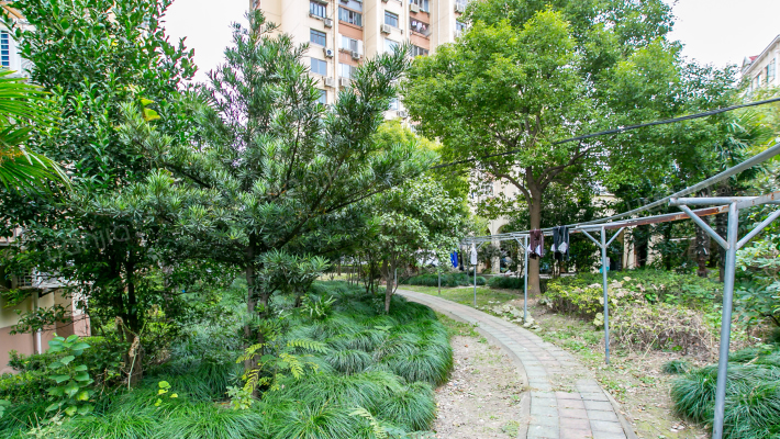 德西大楼外景图