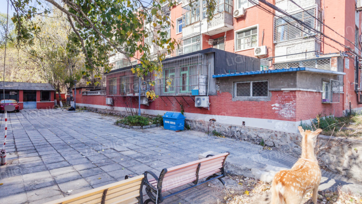 迎风二里外景图