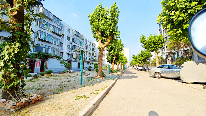 泰安市岱岳区职业教育中心教师进修学校校区宿舍外景图