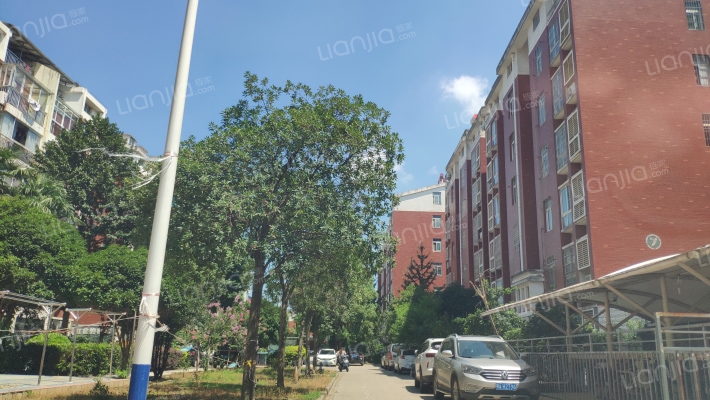 开来百花苑外景图