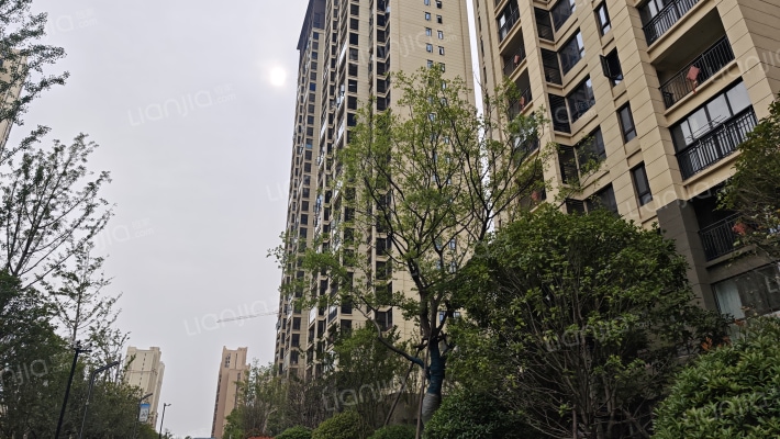 佳阳大都府外景图