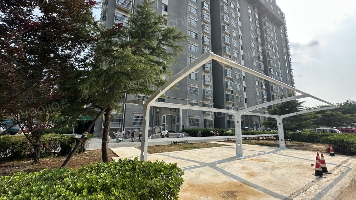 世纪嘉年华外景图