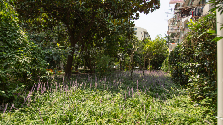 隆昌路416弄外景图