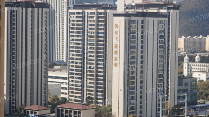 华飞新域宸璟外景图