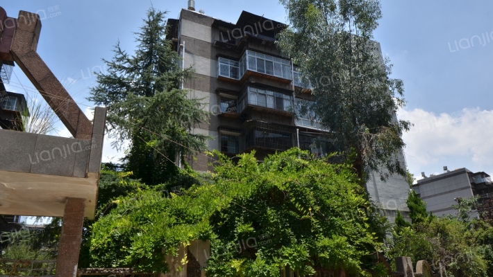 白马西区外景图