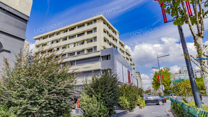 虎踞南路98号外景图