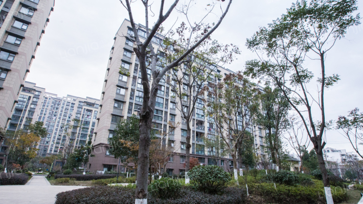 森隆满园外景图