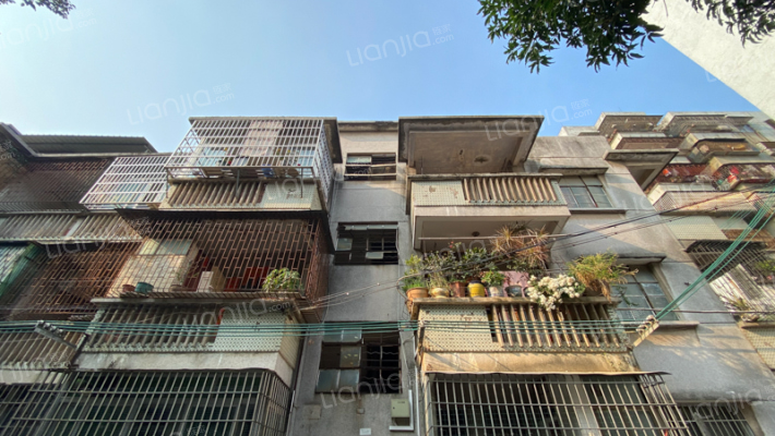 为群巷1号外景图