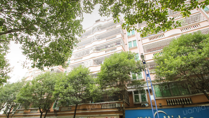 丽景花园（东升镇）外景图