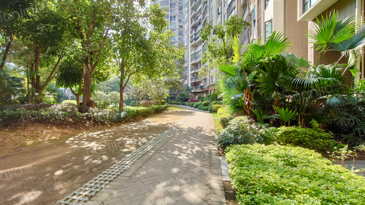 大儒世家藏珑外景图