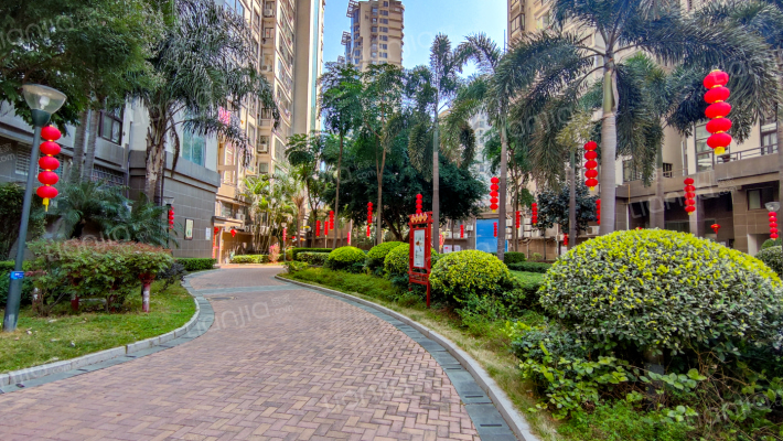 龙旺名城外景图