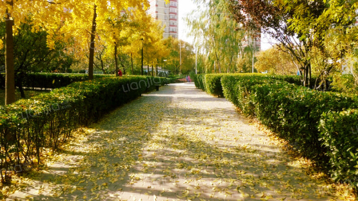 车道沟南里小区外景图