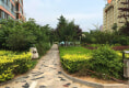 千禧龙花园4