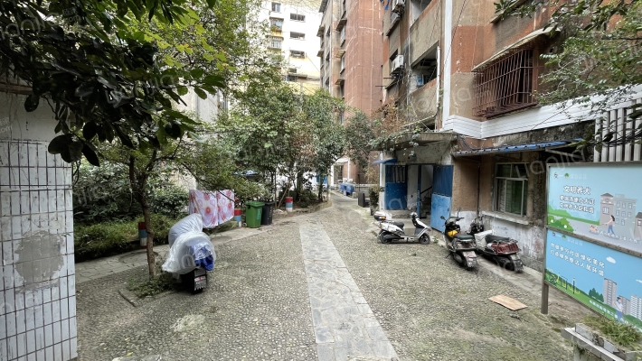 香狮路183号外景图