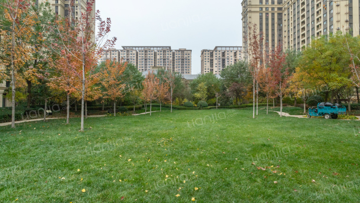 枫丹壹号外景图