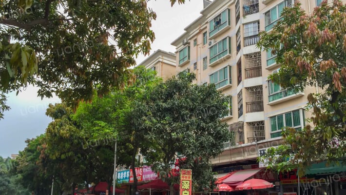 金湖星苑外景图