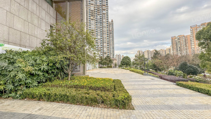 金阳新世界墅临境外景图