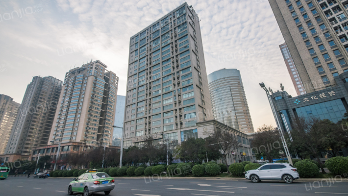 龙湖大厦外景图