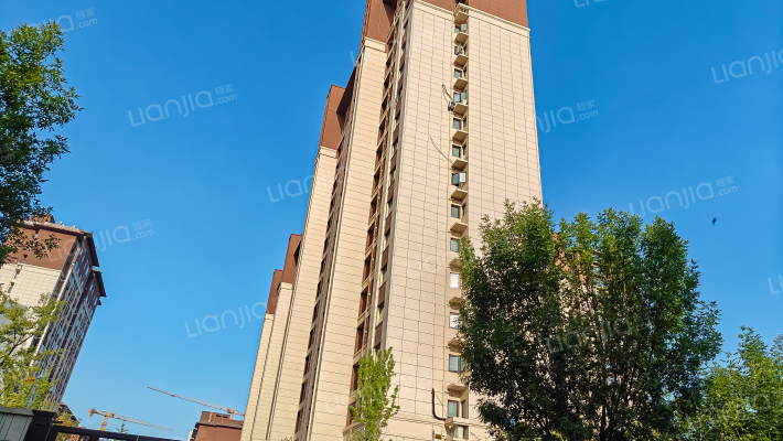 高盛玫瑰园外景图