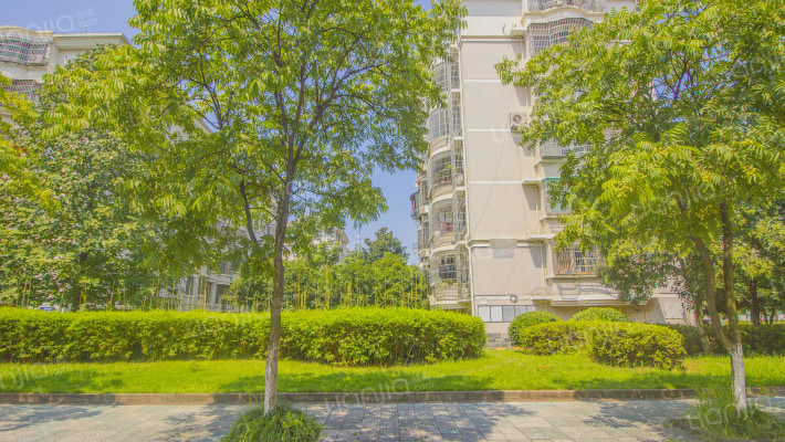 东洲映日苑外景图