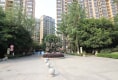 正成拉斐12
