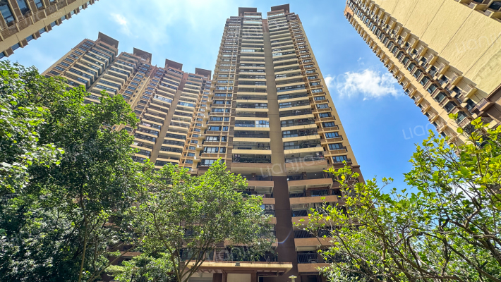 君华•锦云外景图