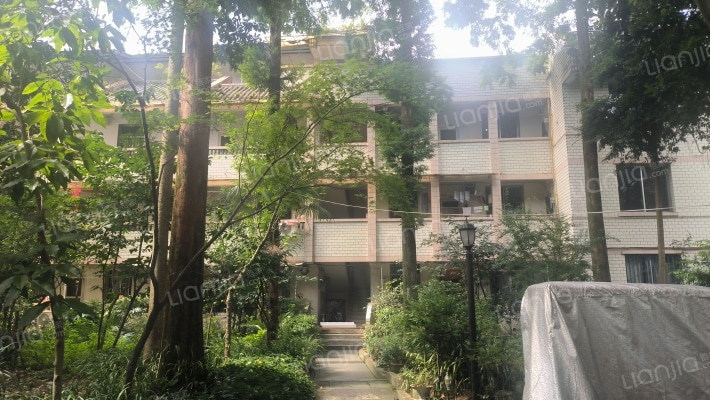 青景苑(041乡道)外景图