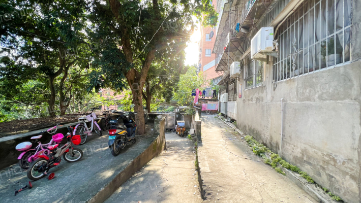 西洪新村聋校教工楼外景图