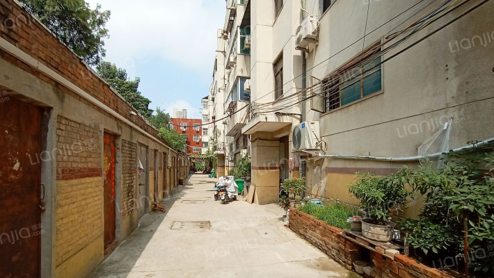 民政局家属楼院外景图