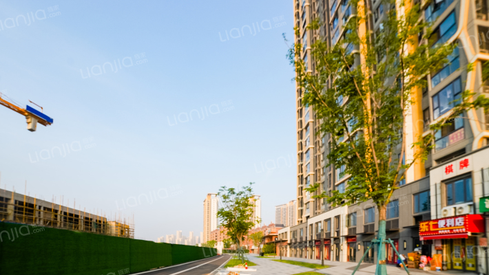 金地国际城外景图