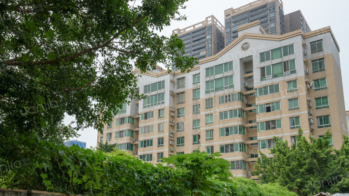 龙井小区外景图