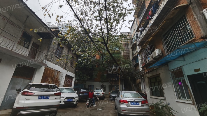 科学路13号外景图