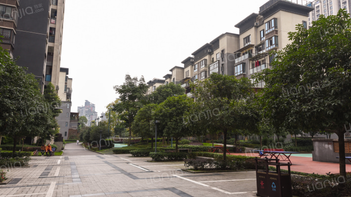 巴国龙庭外景图