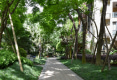 龙城1号4