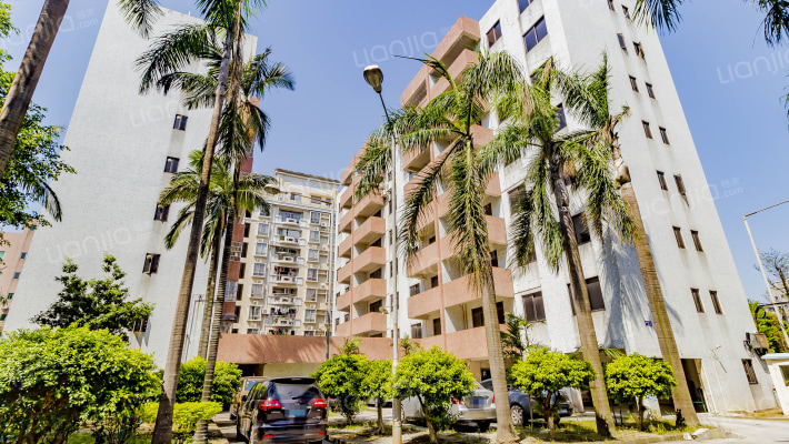 电力新村外景图