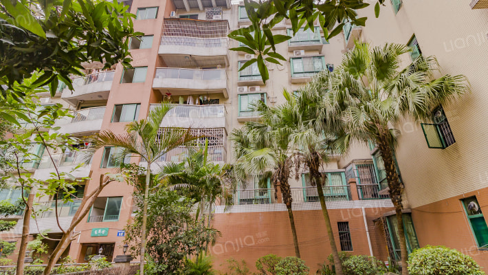 星琴花园外景图