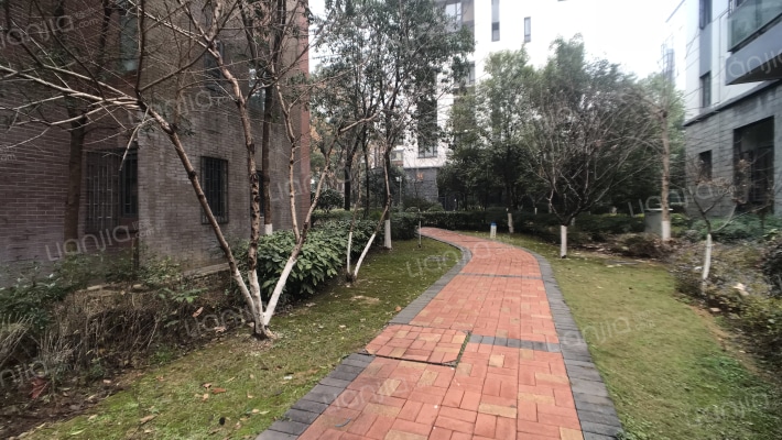 泰然南湖玫瑰湾三期外景图